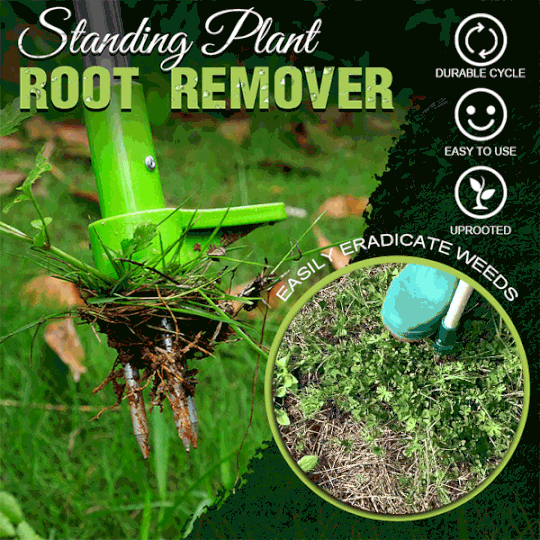 Permanent Rodfjernelse til Planter RootVanish