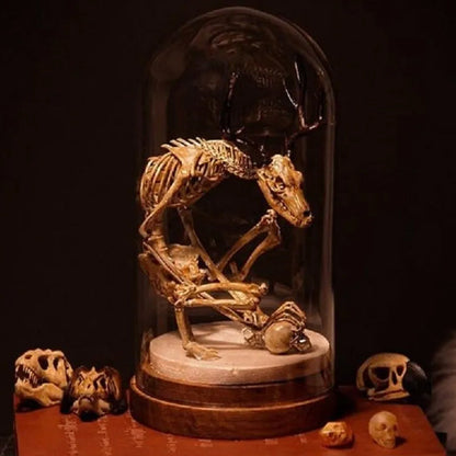 SkellKnoch™ | Skelettets kuriositetskabinet