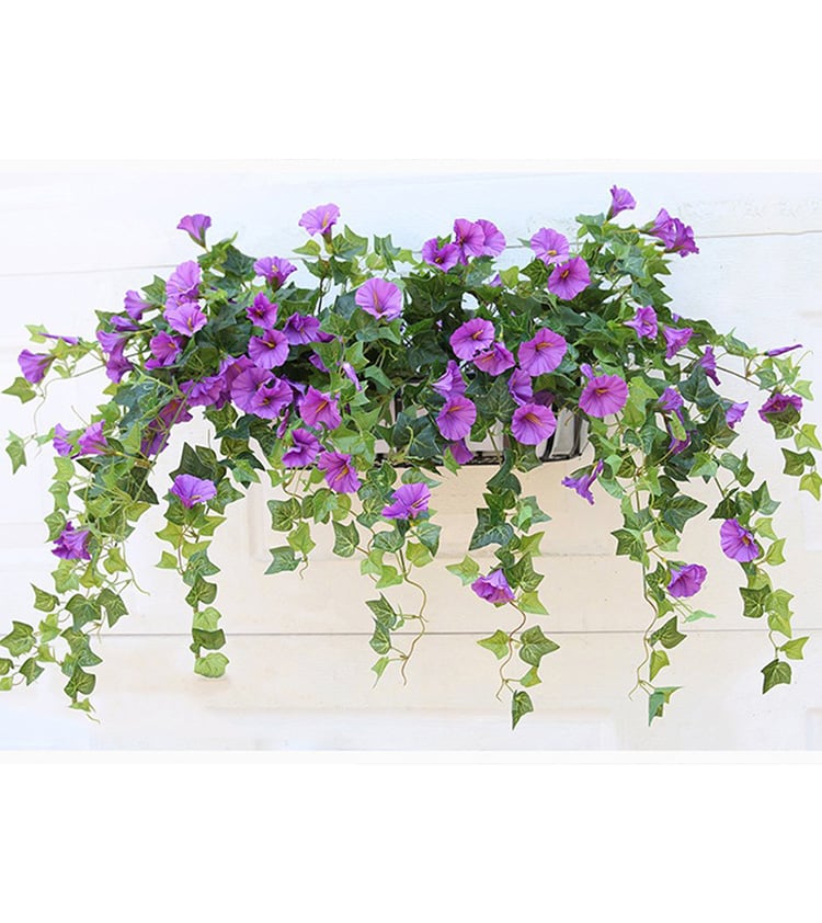 Evigblomster Dekoration til Hjemmet