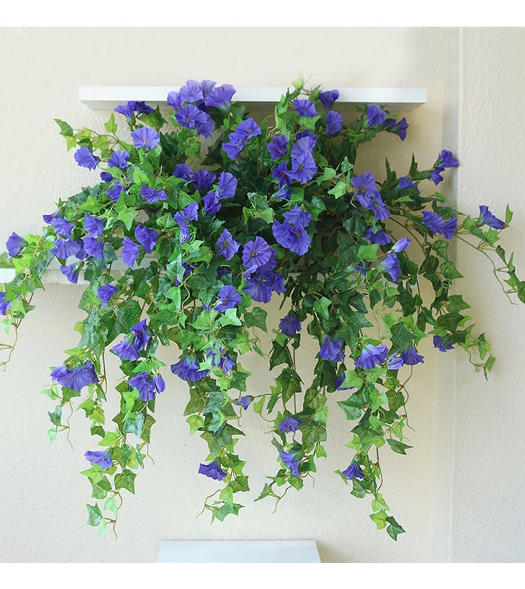 Evigblomster Dekoration til Hjemmet