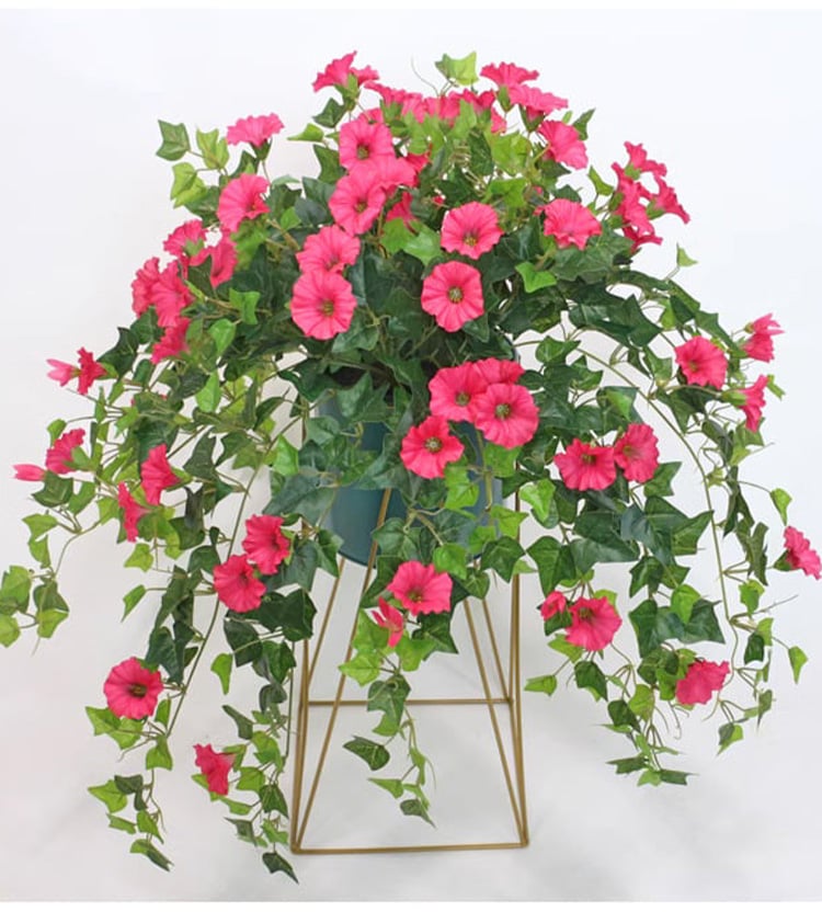 Evigblomster Dekoration til Hjemmet