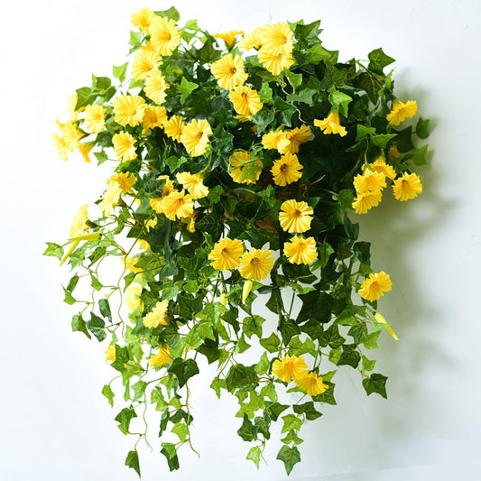 Evigblomster Dekoration til Hjemmet