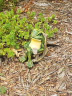 Strålende Haved Frog til Stemningsfulde Uderum