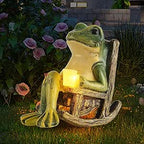 Strålende Haved Frog til Stemningsfulde Uderum