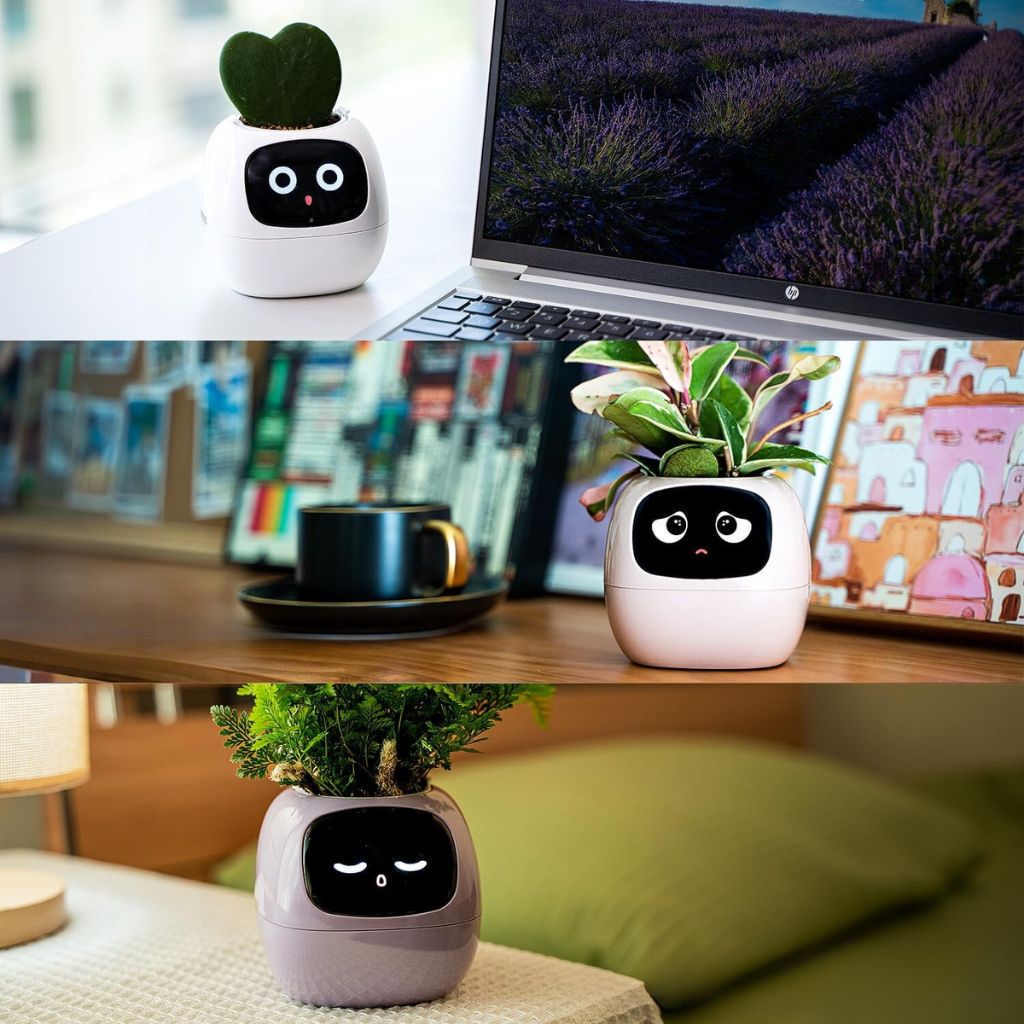 Moderne selvvandende indendørs plantepotte