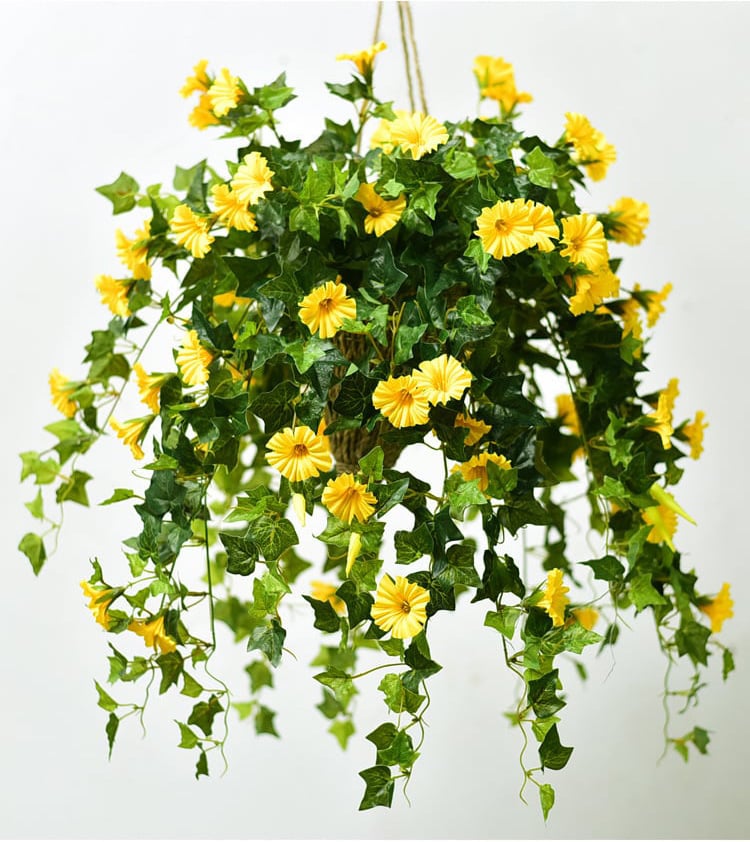 Evigblomster Dekoration til Hjemmet