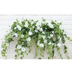 Evigblomster Dekoration til Hjemmet