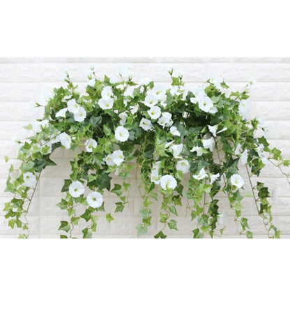 Evigblomster Dekoration til Hjemmet