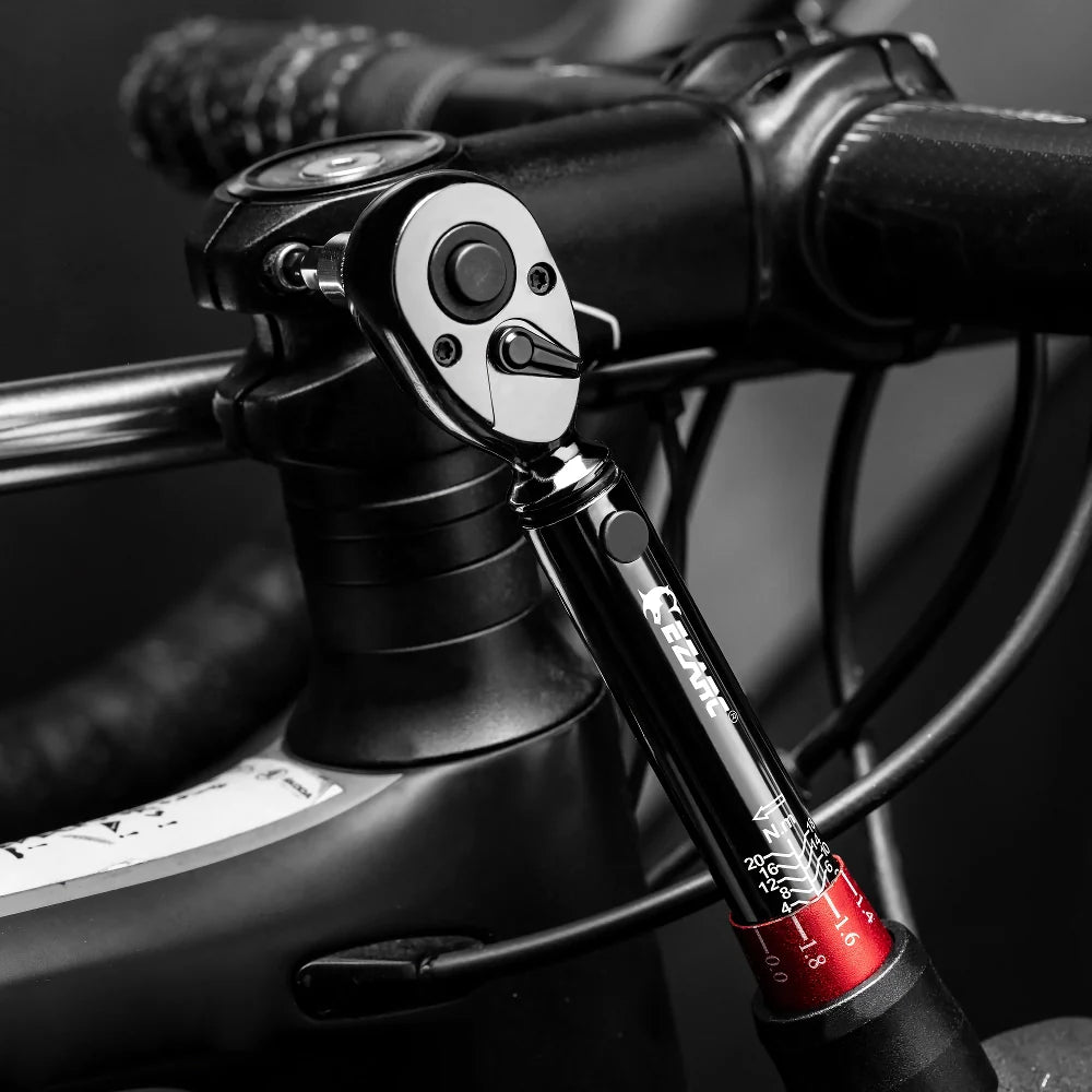 16 dele præcisions momentnøglesæt - 1/4'' driv, 2-20nm til cykelvedligeholdelse