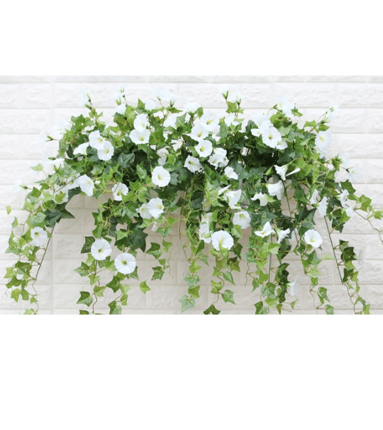 Evigblomster Dekoration til Hjemmet